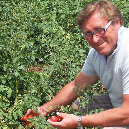 Azienda Agrituristica Baglio Carta Balestrate Exteriör bild