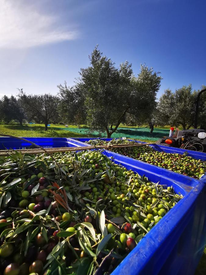 Azienda Agrituristica Baglio Carta Balestrate Exteriör bild