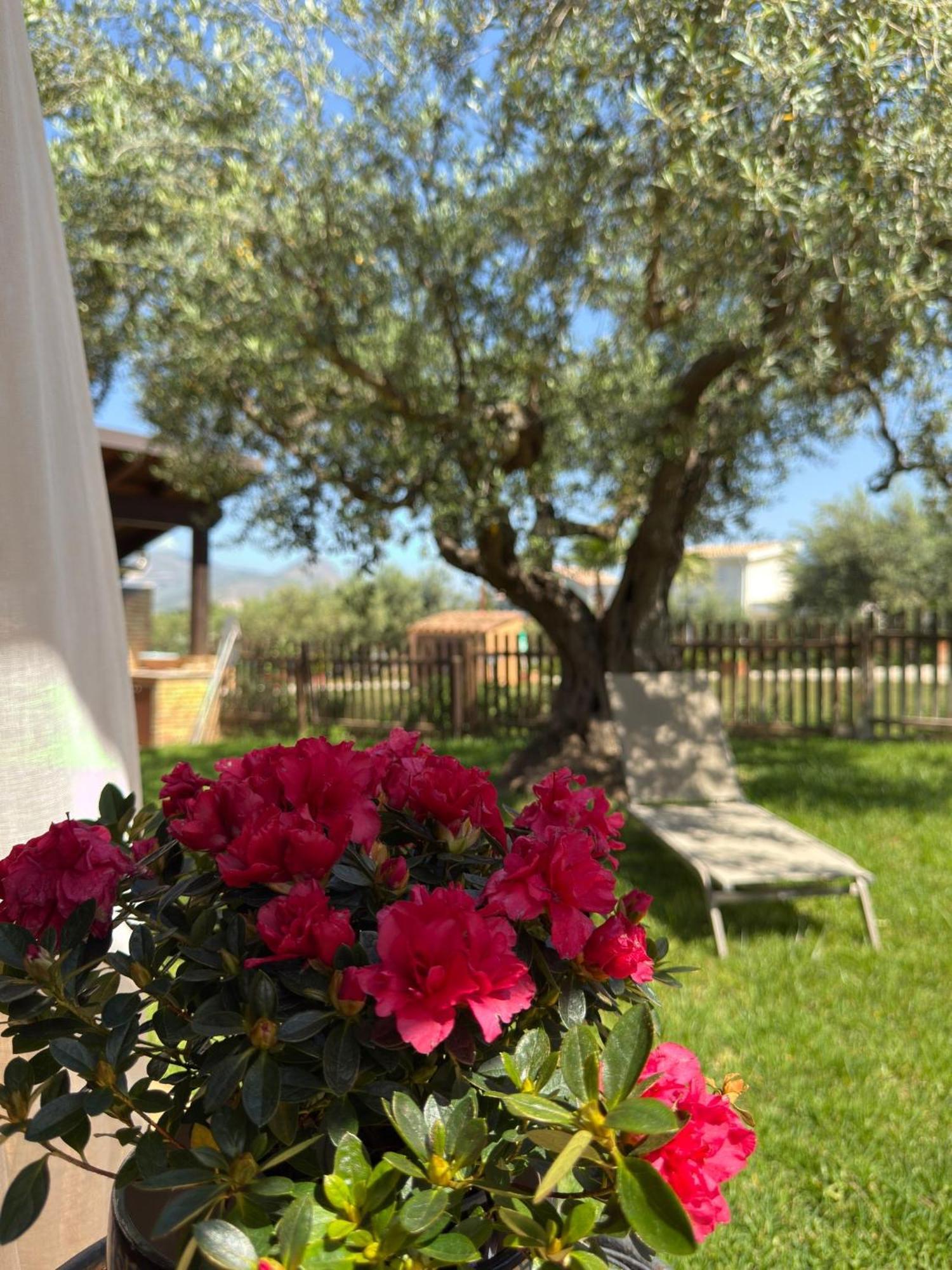 Azienda Agrituristica Baglio Carta Balestrate Exteriör bild