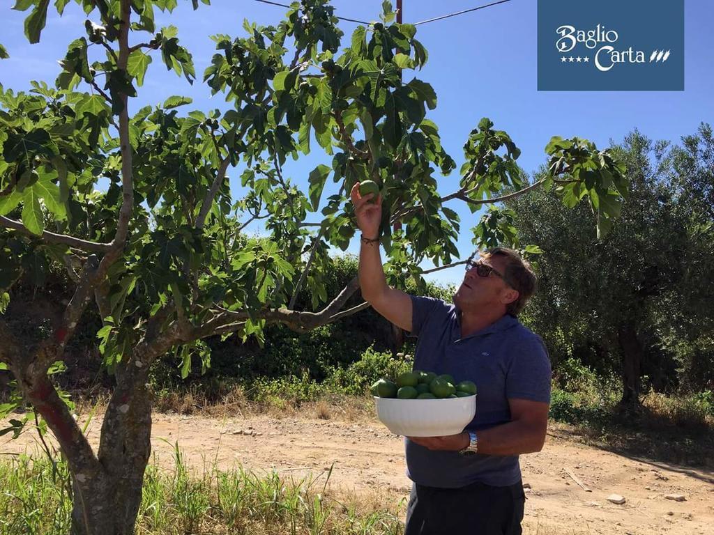 Azienda Agrituristica Baglio Carta Balestrate Exteriör bild
